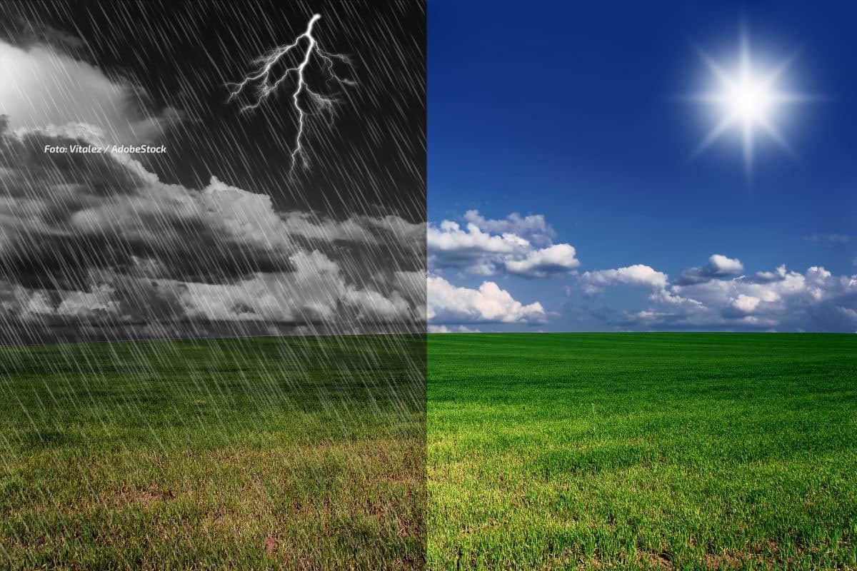 wetter.net im neuen Look: Radar, Trend und News auf einen Blick