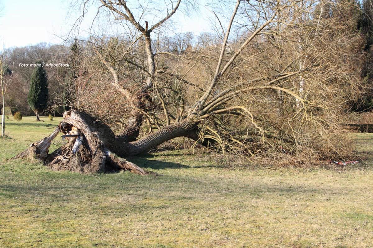 Sturm Luise im Westen: Zwei Schwerverletzte, Sonntag folgt Manja