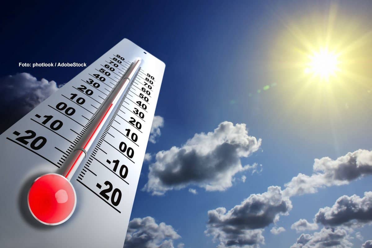 Hitzeende in Deutschland: Modelle streiten über Temperatursturz