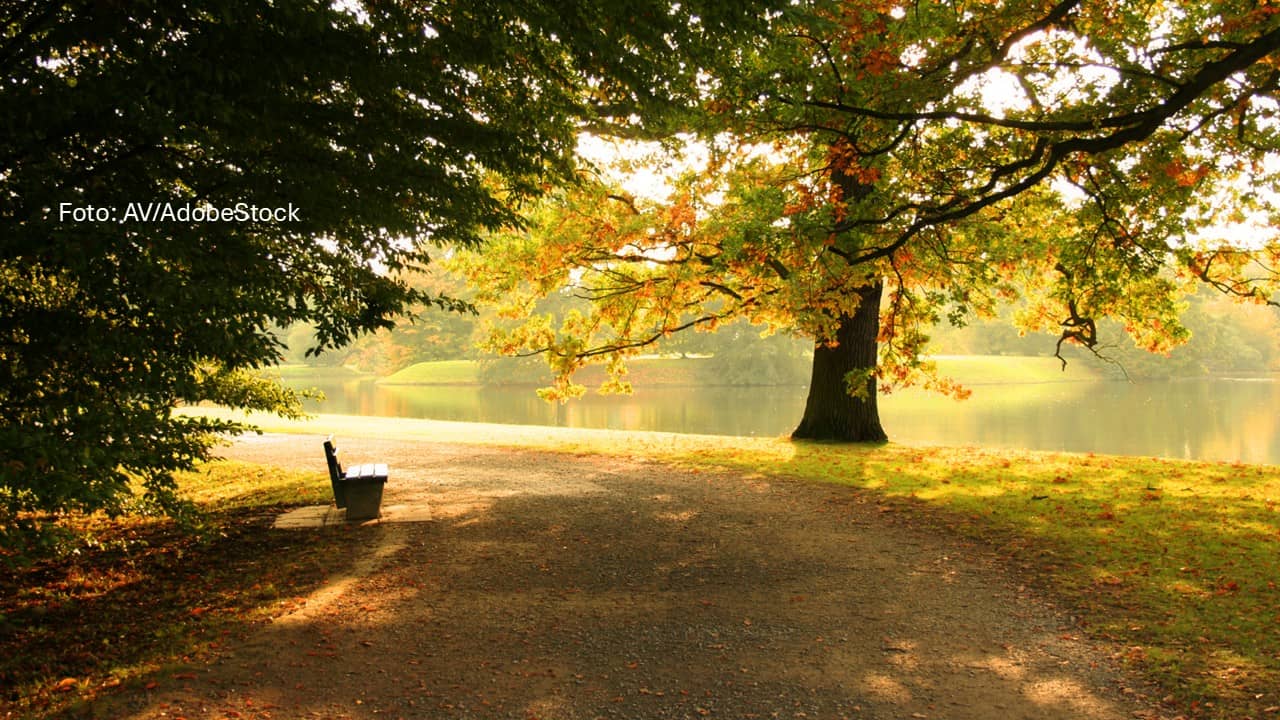 Zwischen Nebel, Regen und Polarluft: Ein Rückblick auf den Herbst 2025