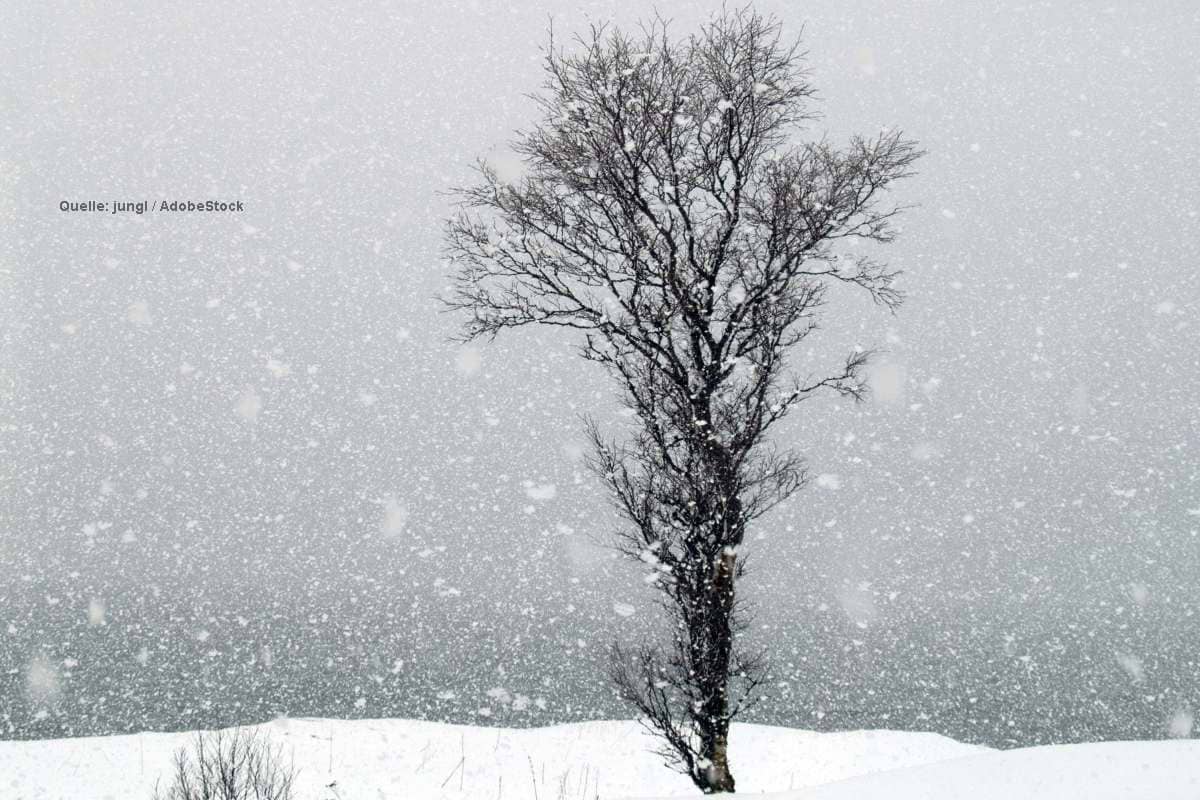 Sturm sorgt für ersten Schnee! Wo kann es am Wochenende weiß werden?