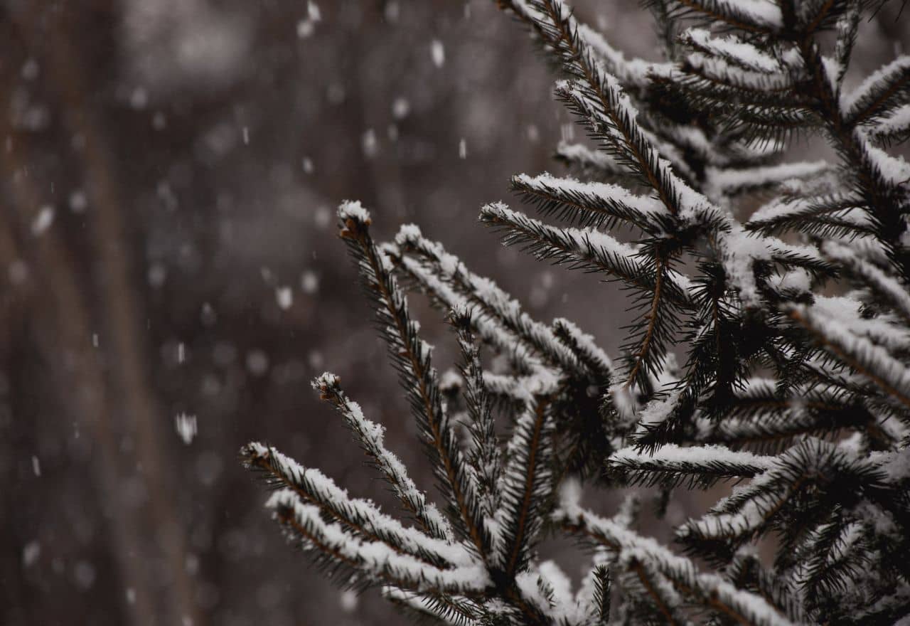 Winter is coming: Die besten Indoor-Beschäftigungen für die kalte Jahreszeit
