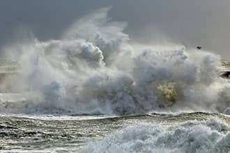 Tsunami-Entwarnung nach starkem Seebeben vor Alaska
