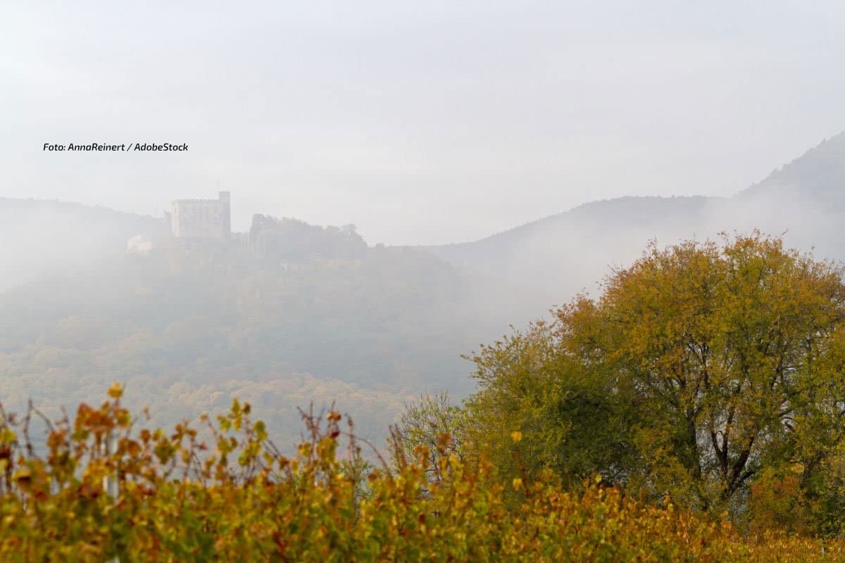 Regen links des Rheins, im Südosten mild: ab Montag freundlicher
