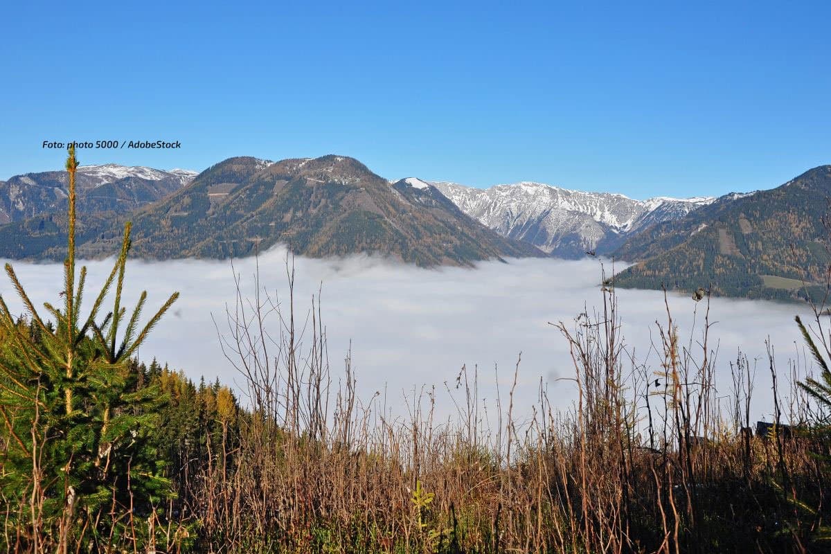 Milder Herbsttag nach Nebel im Süden: zum Wochenende Regen