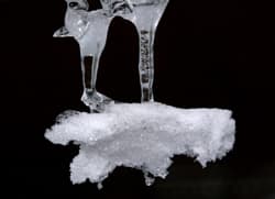 Eisregen
