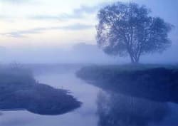Flussnebel