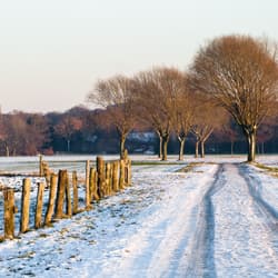 Frosttag