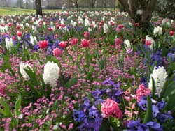 Frühling