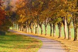 Goldener Oktober