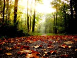 Herbst