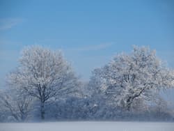 Kleine Eiszeit