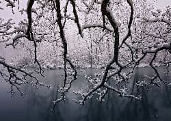 Lake effect
