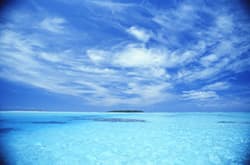 Meer
