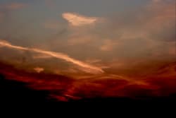 Purpurlicht
