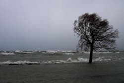 Sturm
