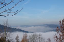 Talnebel