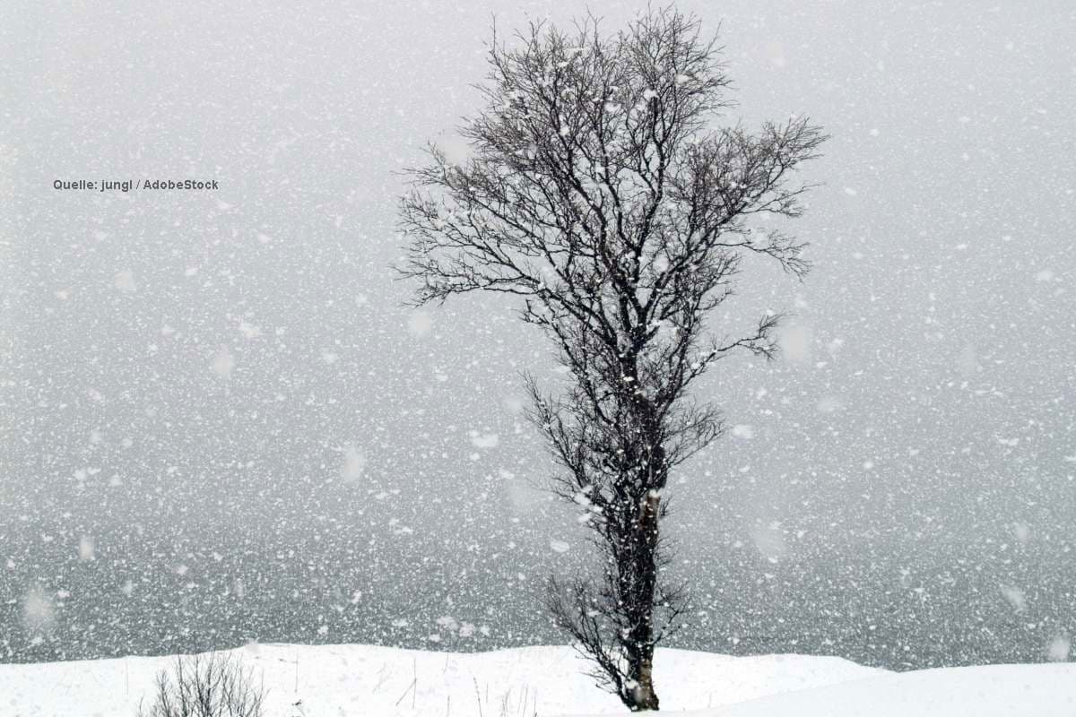 Sturm sorgt für ersten Schnee! Wo kann es am Wochenende weiß werden?