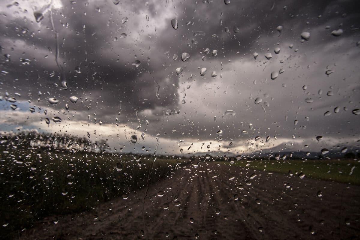 Langersehnter Regen in Sicht – neue Woche startet verbreitet sehr nass