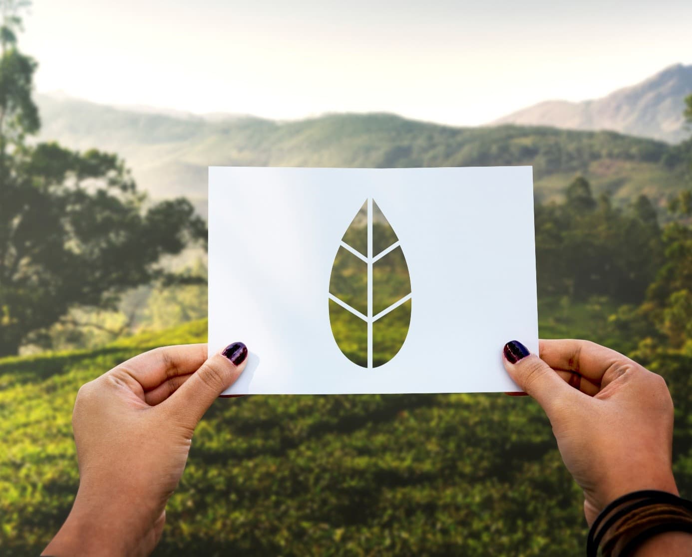 Klimaschutz gemeinsam finanzieren: Warum Umweltprojekte auf zusätzliche Fördermittel angewiesen sind