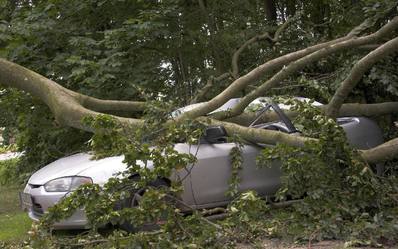 Drei Tote durch Herbstorkan Sebastian