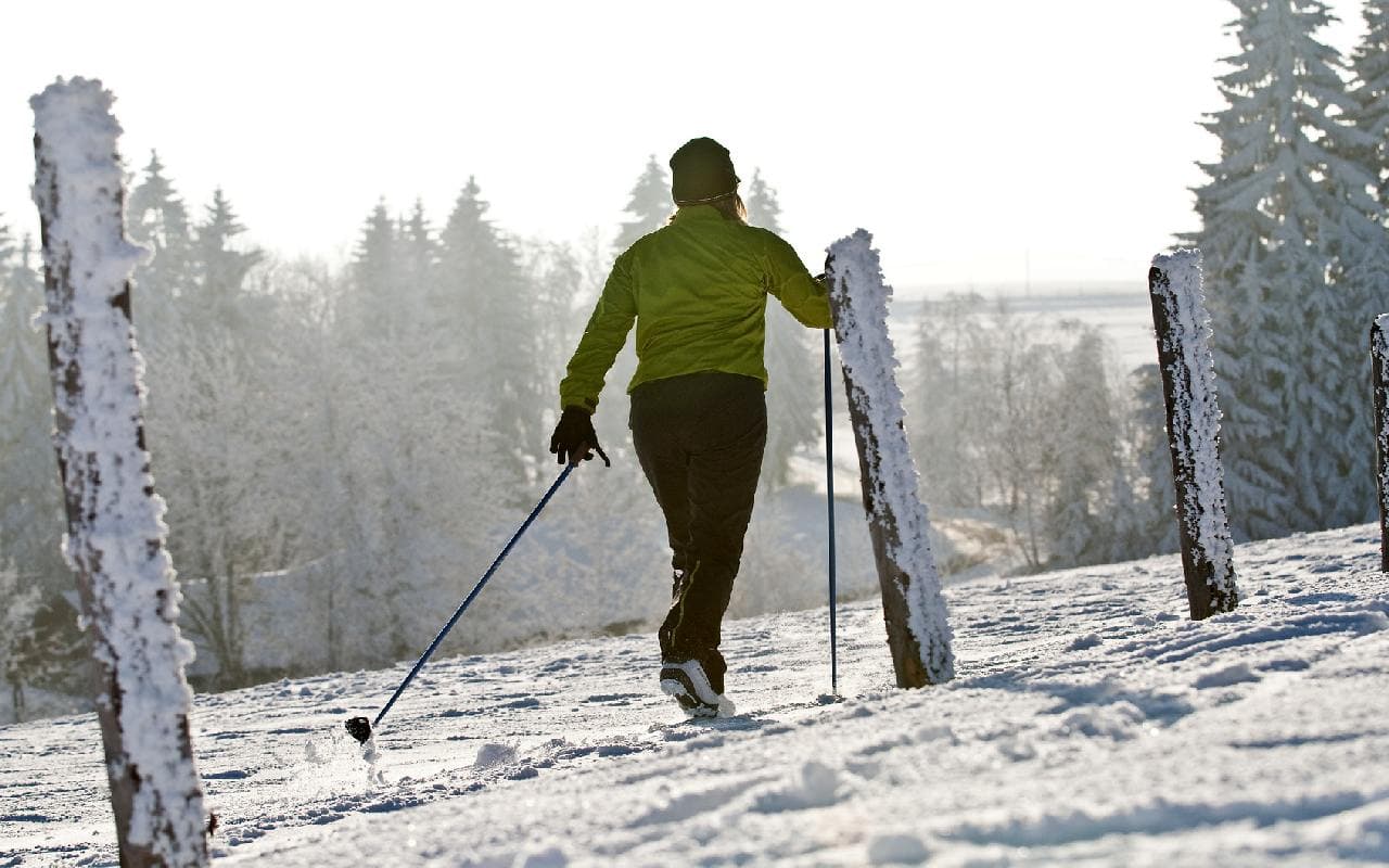 Neuschnee im Südosten und in den Alpen – wo wieviel liegt und noch erwartet wird