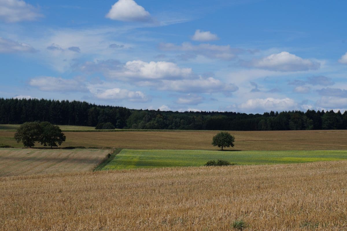 Monatsbilanz: zu warm und zu trocken