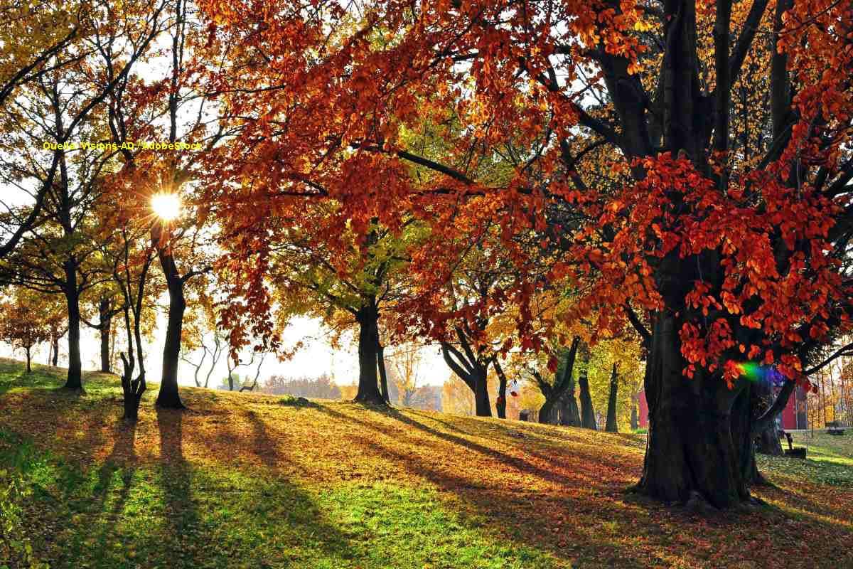 Vitamin-D-Winter in Deutschland: Sonne reicht bald nicht mehr