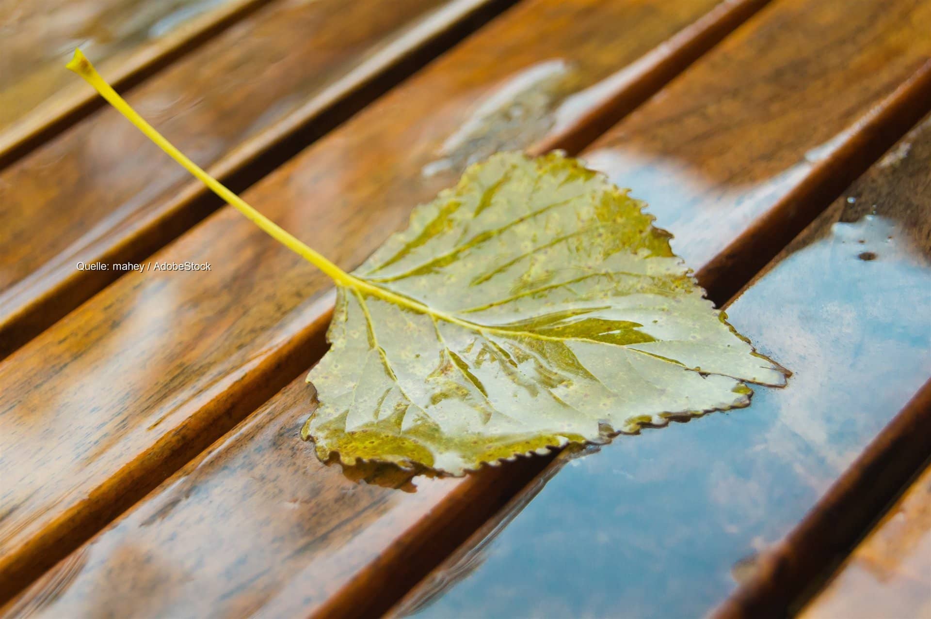 Q.met aus Wiesbaden: wer die Vorhersage auf wetter.net macht
